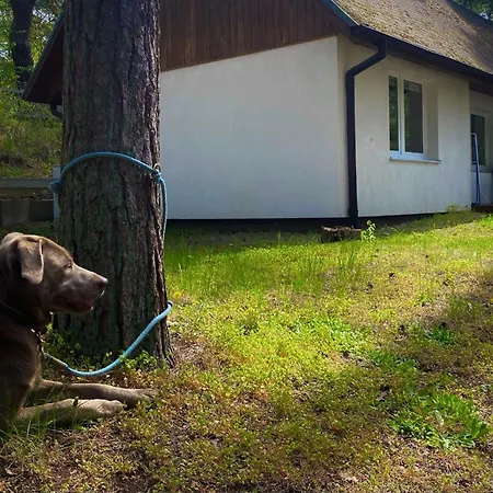 Prázdninový dům Ferienglueck Im Doppelhaus - 60 M Zum Haus 1 *